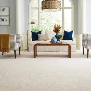 Living room carpet | Simple Flooring Solutions