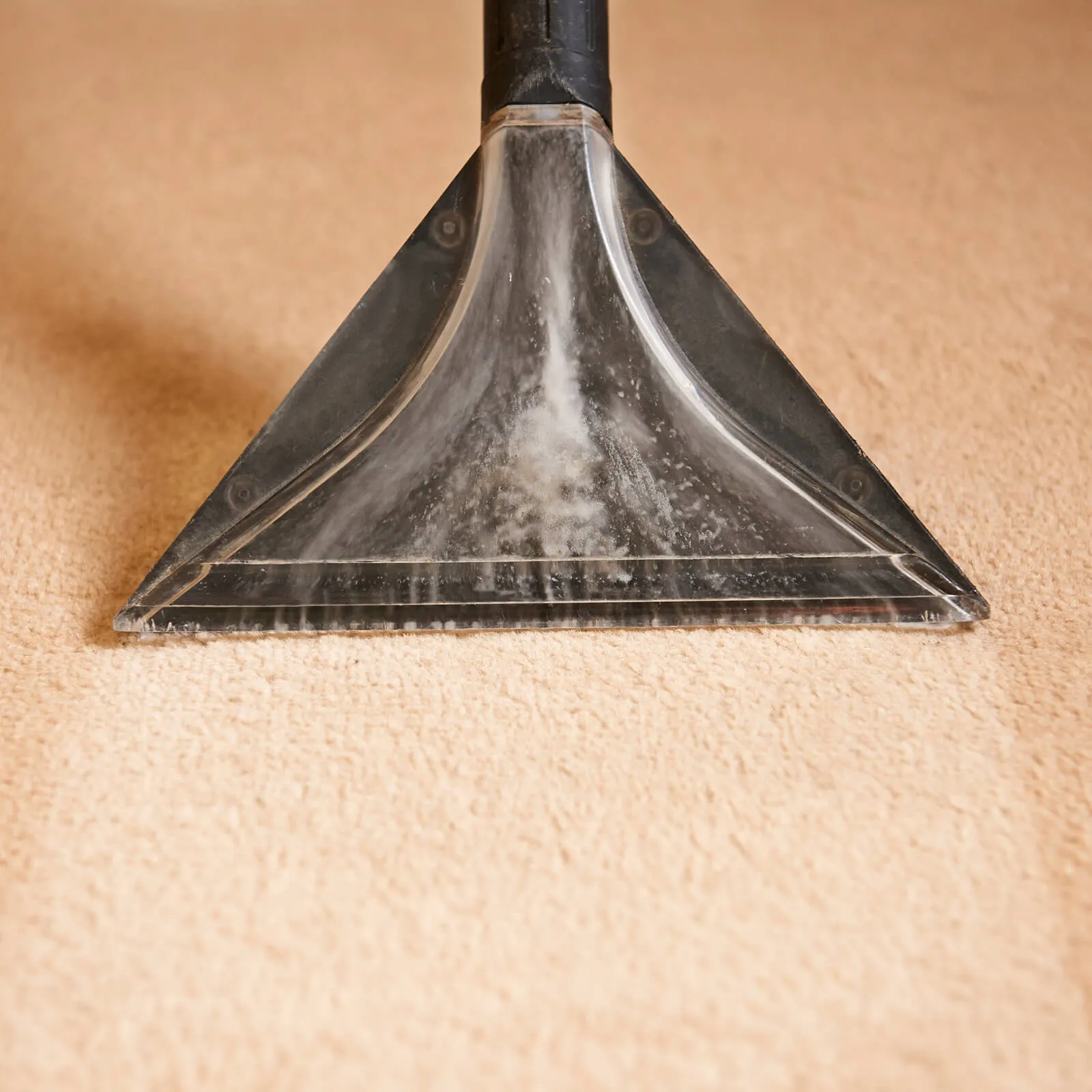 Rug cleaning | Simple Flooring Solutions